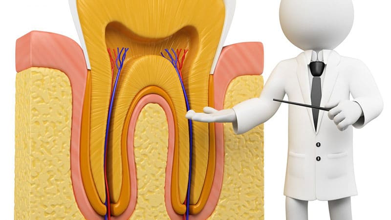 تفاوت متخصص ریشه و دندانپزشک عمومی چیست؟